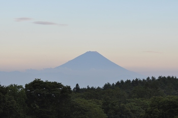 夏の富士.jpg