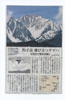杓子岳20130618信濃毎日新聞結果.jpg